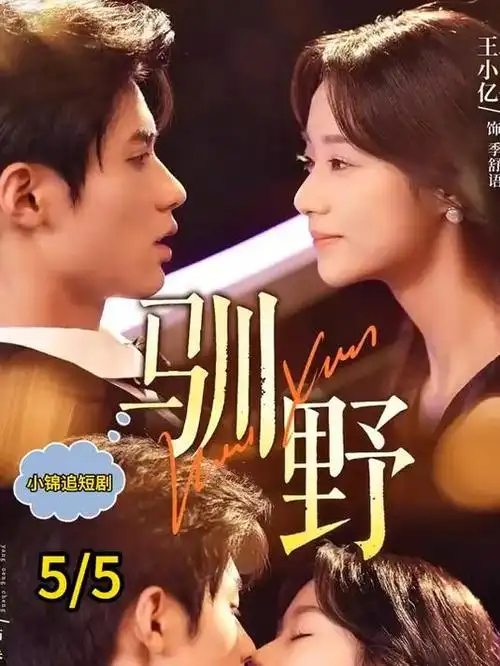 剧集《平凡岁月剧场》档案卡片海报